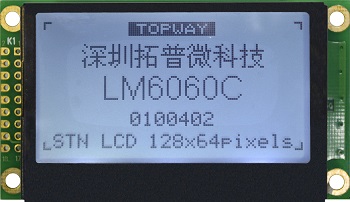 LM6060CCW-2 product picture