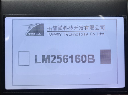 LM256160DCW product picture