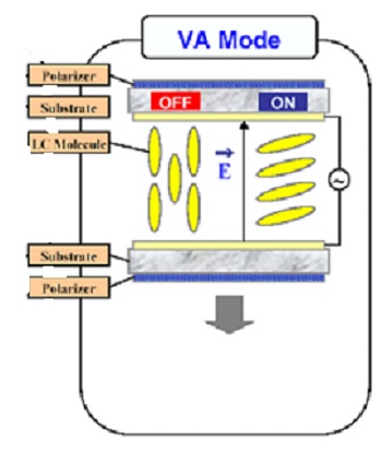 VA Panel